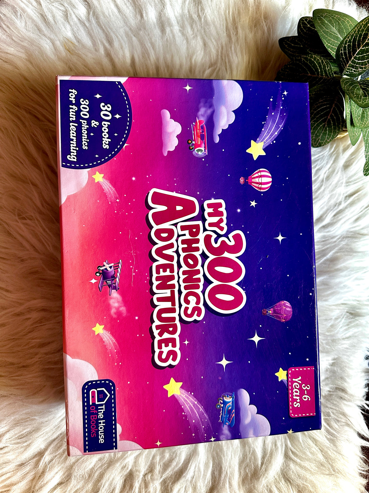 30 Read and Rhyme Flip Books - 300 Words Phonics Set – House Of Books