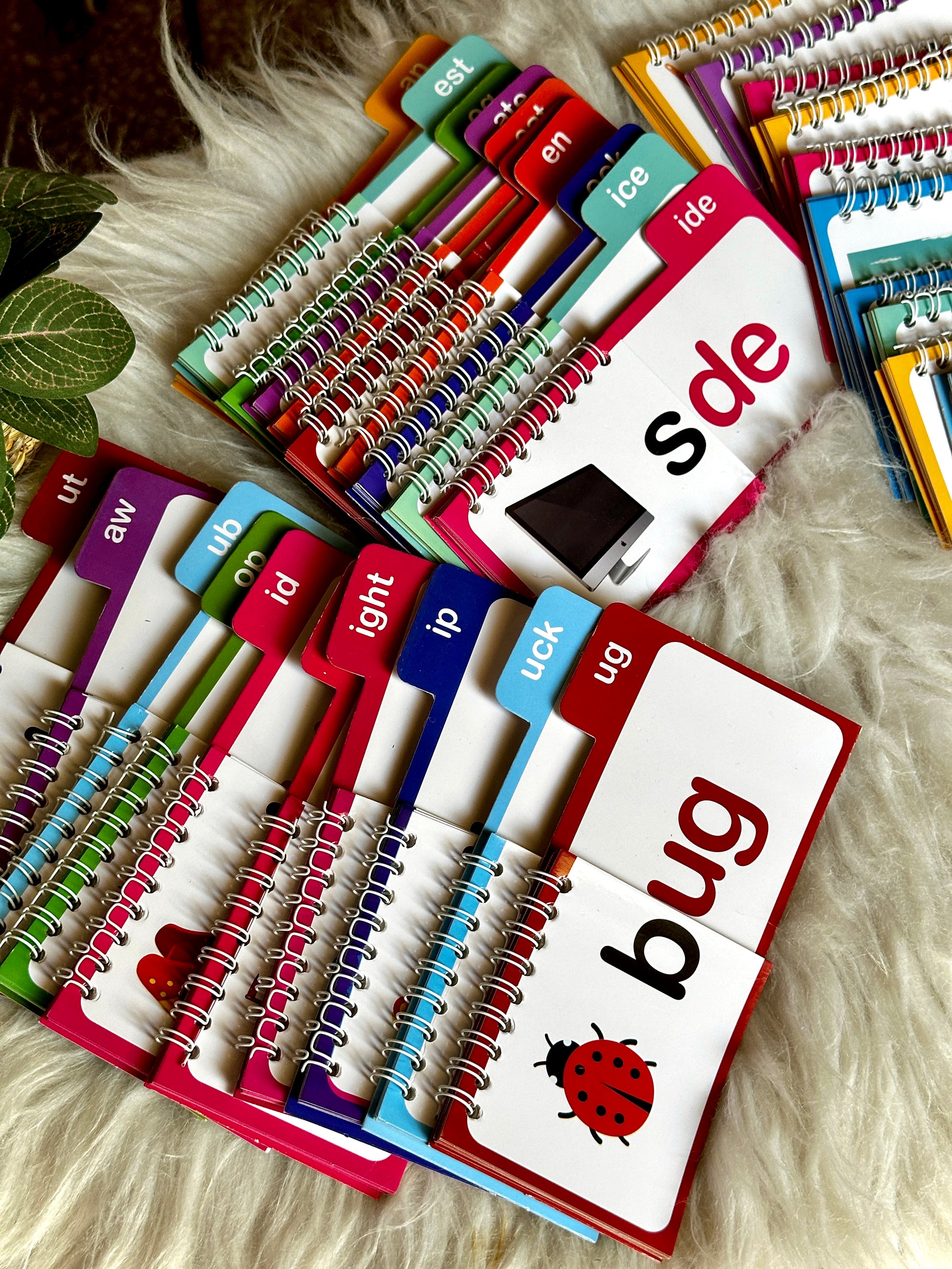 30 Read and Rhyme Flip Books - 300 Words Phonics Set